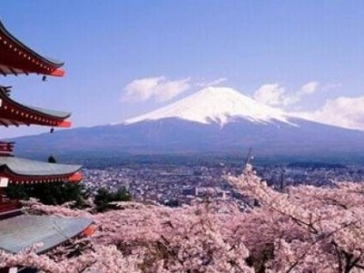 全球宜居报告,日本城市频频上榜, 为什么它成为你的青睐?