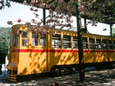 驻日本使领馆线上举办关于“留日学子与中国梦”演讲会