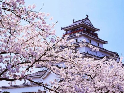 日本经营管理签证,超详细讲解,收藏这篇够了