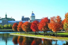 加拿大创业移民真的容易,怪不得那么多人申请