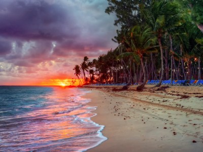 多米尼克公告授权机构可以网上提交尽职调查信息,公民入籍申请,办护照,文件公证正常运行