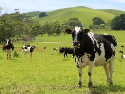 详细介绍189独立技术移民以及列了清单发送给大家!