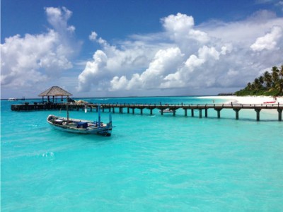 澳洲两年及4年技术签证项目即将出台?被呼吁引入全新高技能海外劳工签证?