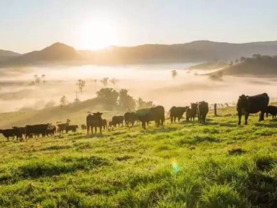 澳洲入籍法案将于本月再次修正!