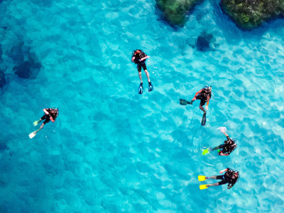 多米尼克宣布:将从4月4日起旅游业正式全面开放!