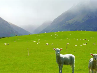 2022年澳洲技术移民最强解析来了!