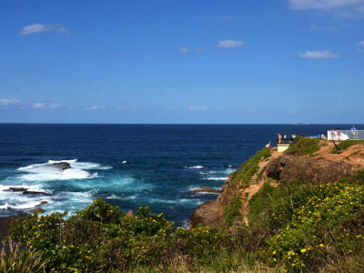 【澳晟资讯】澳洲签证英文要求大总结!这个签证居然无英语要求?