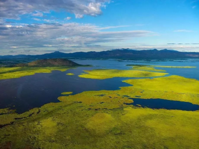 【澳晟资讯】11月17日,塔州举办了Webinar:包含州担审理进度等情况!