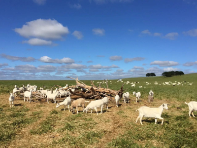 【澳晟资讯】482临时技术短缺签证(TSS签证)详解!