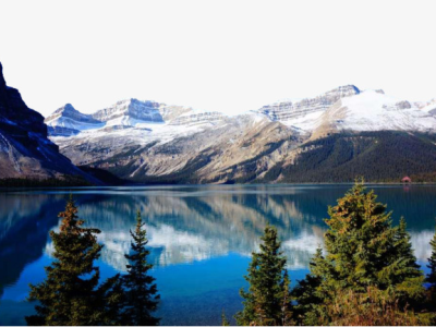 【澳晟资讯】快速拿到意向国家的6个⼩技巧~攻略来了!