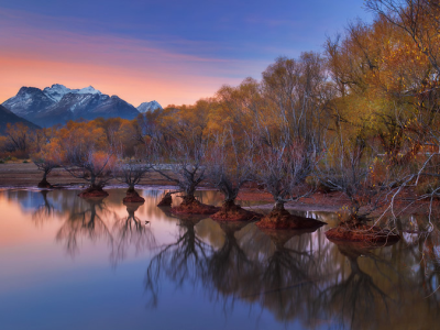 【澳晟资讯】新西兰技术移民6分制,适合哪些人申请?