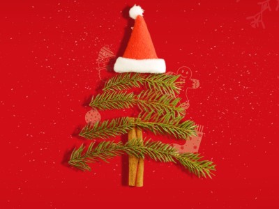 澳晟海外全体祝大家圣诞节快乐!