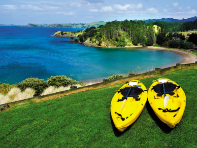 【澳晟海外】开抢!7月2日!新西兰打工度假签WHV正式开放